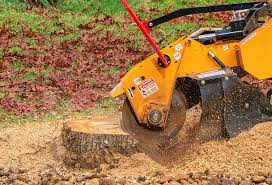Reliable Conway, PA Tree Care Solutions
